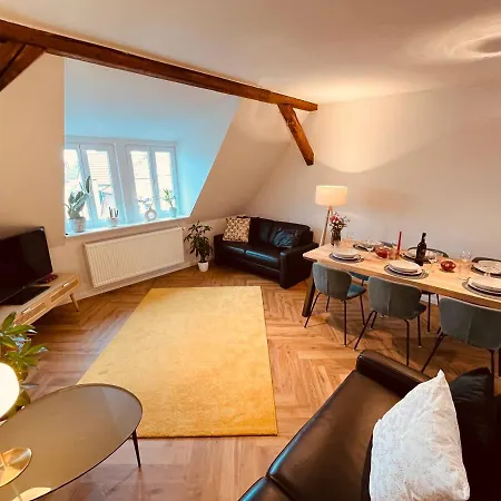 Jugendstil-Altbauwohnung Mit Dachterrasse Direkt An Der Karlsaue Kassel Eksteriør billede