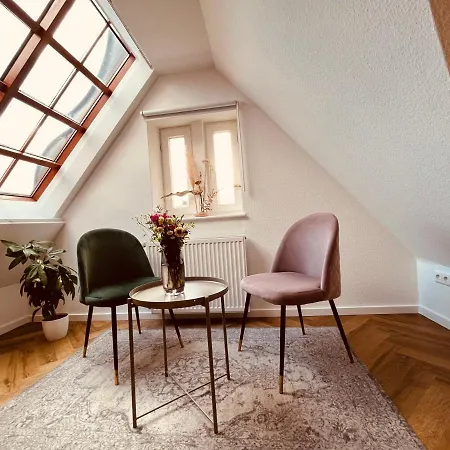 Jugendstil-Altbauwohnung Mit Dachterrasse Direkt An Der Karlsaue Kassel Eksteriør billede