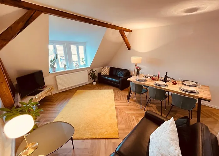 Jugendstil-Altbauwohnung Mit Dachterrasse Direkt An Der Karlsaue