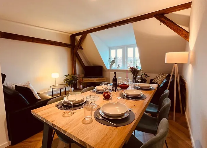 Jugendstil-Altbauwohnung Mit Dachterrasse Direkt An Der Karlsaue