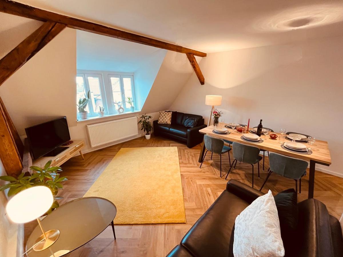 Jugendstil-altbauwohnung Mit Dachterrasse Direkt An Der Karlsaue