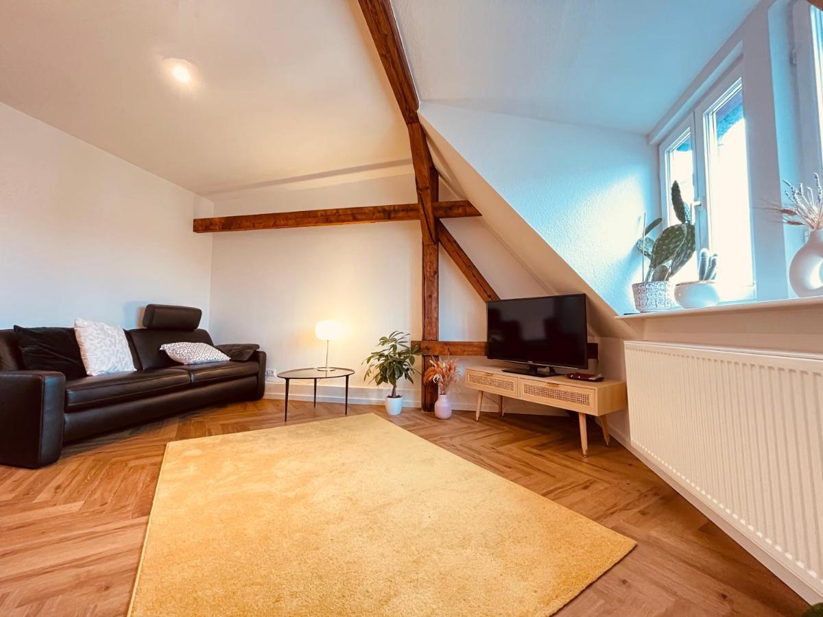 Jugendstil-altbauwohnung Mit Dachterrasse Direkt An Der Karlsaue *