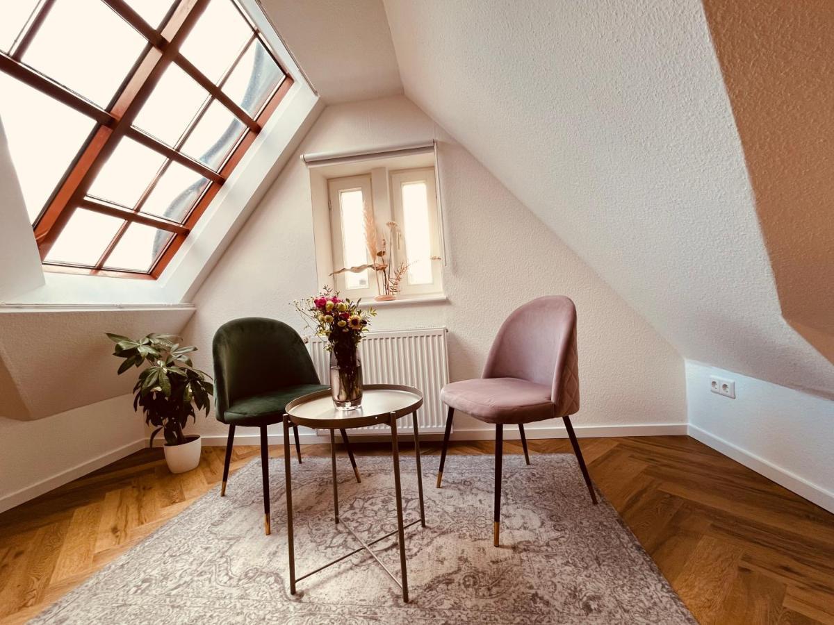 Jugendstil-altbauwohnung Mit Dachterrasse Direkt An Der Karlsaue Apartment *