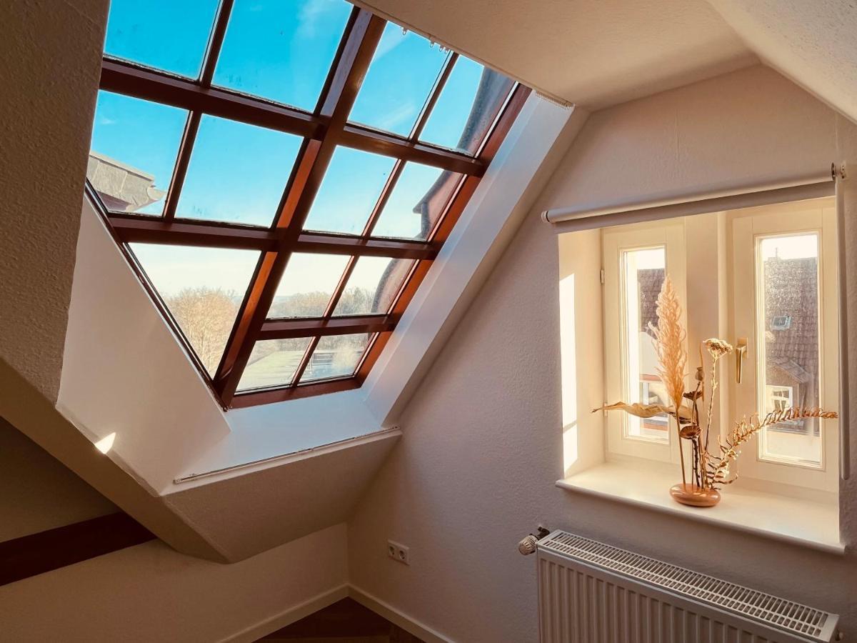 Jugendstil-altbauwohnung Mit Dachterrasse Direkt An Der Karlsaue Apartment Kassel