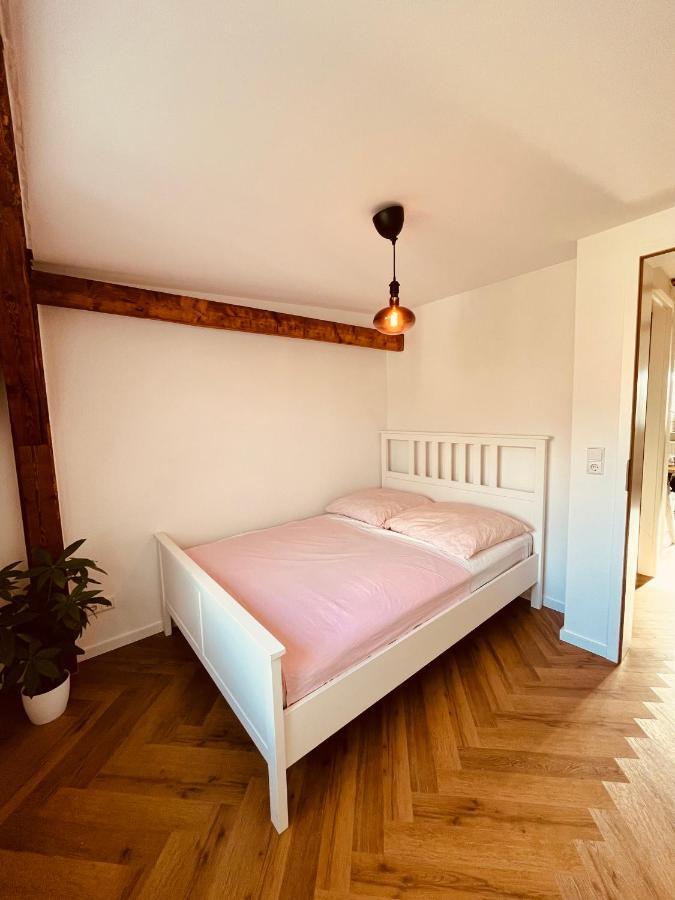 Jugendstil-altbauwohnung Mit Dachterrasse Direkt An Der Karlsaue *