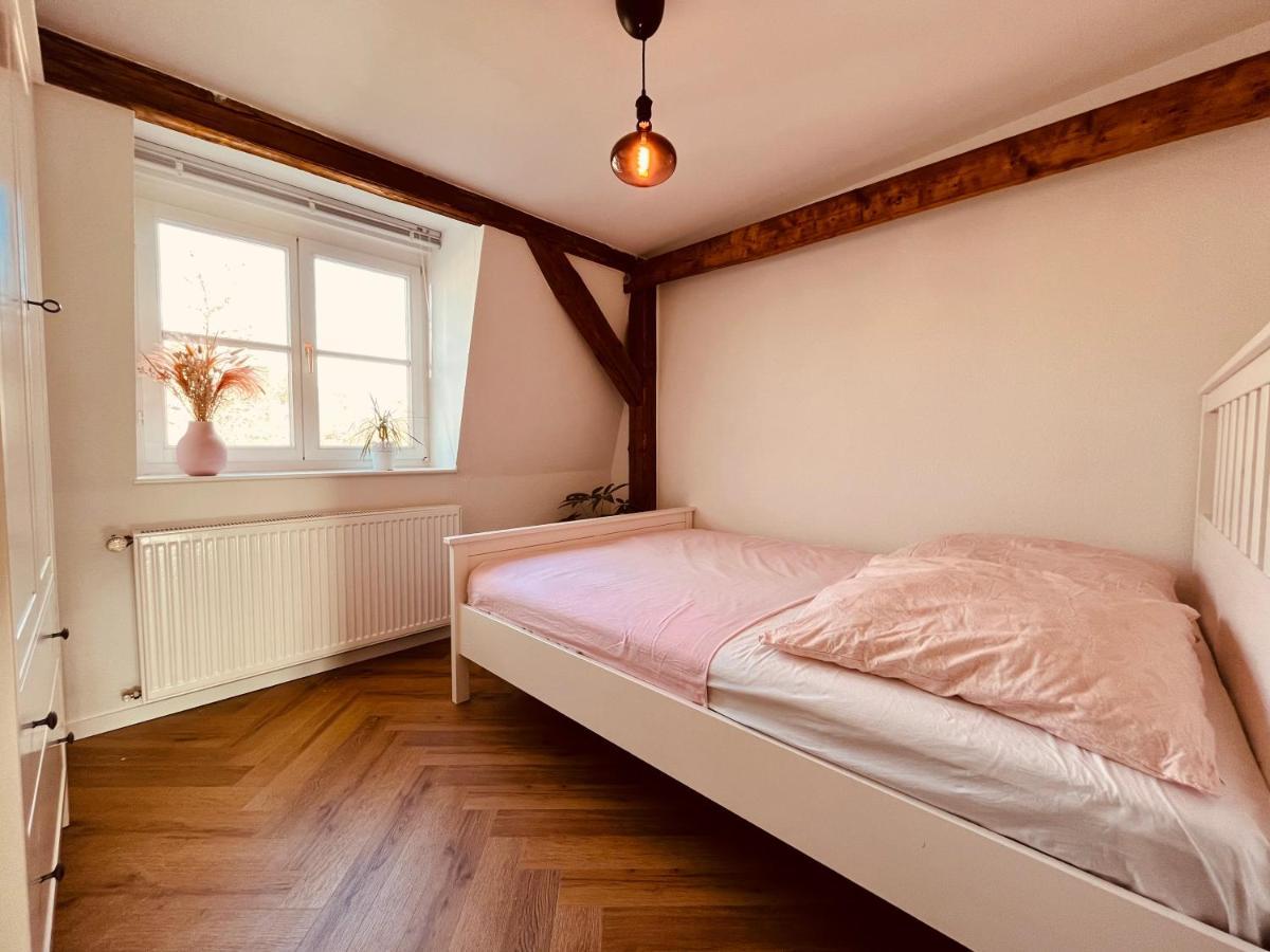 Jugendstil-altbauwohnung Mit Dachterrasse Direkt An Der Karlsaue * Kassel