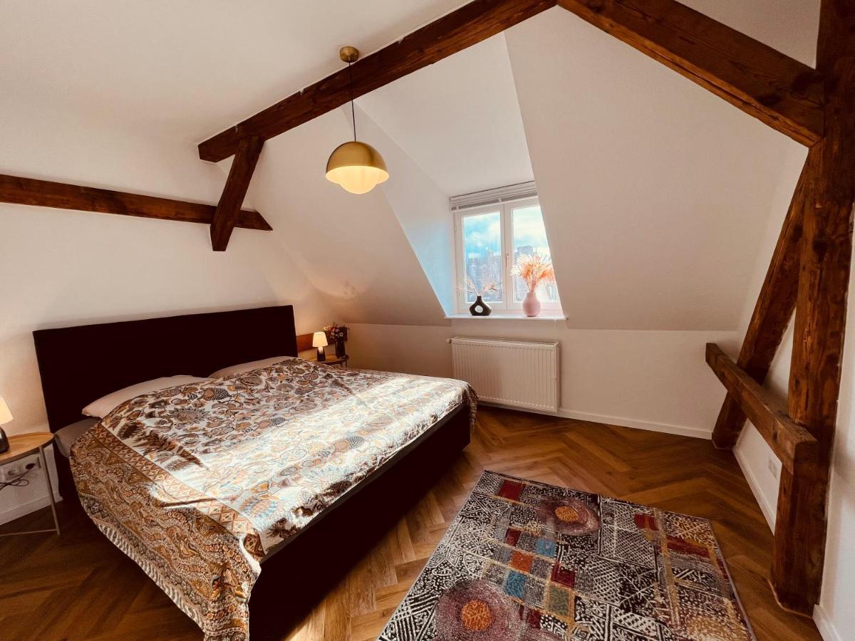 Jugendstil-altbauwohnung Mit Dachterrasse Direkt An Der Karlsaue Apartment Kassel