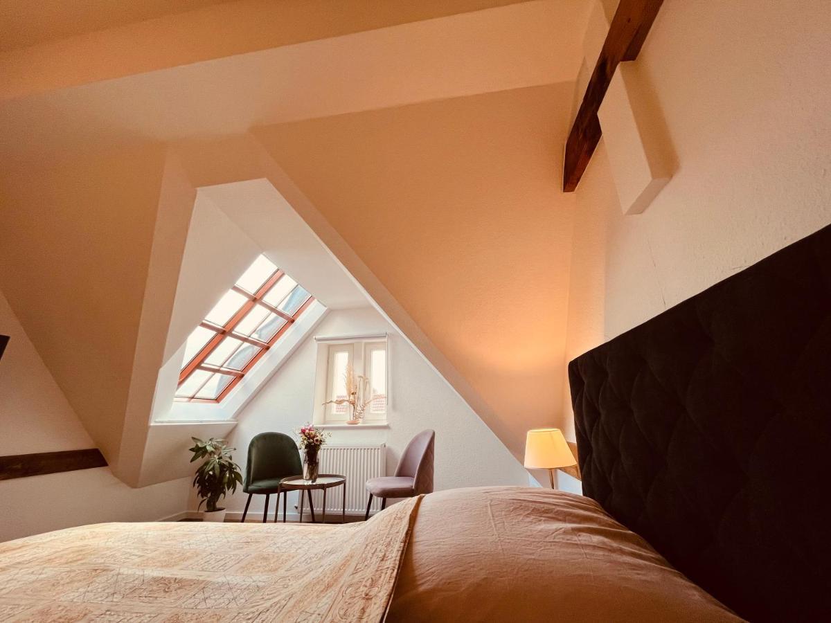 Jugendstil-altbauwohnung Mit Dachterrasse Direkt An Der Karlsaue *