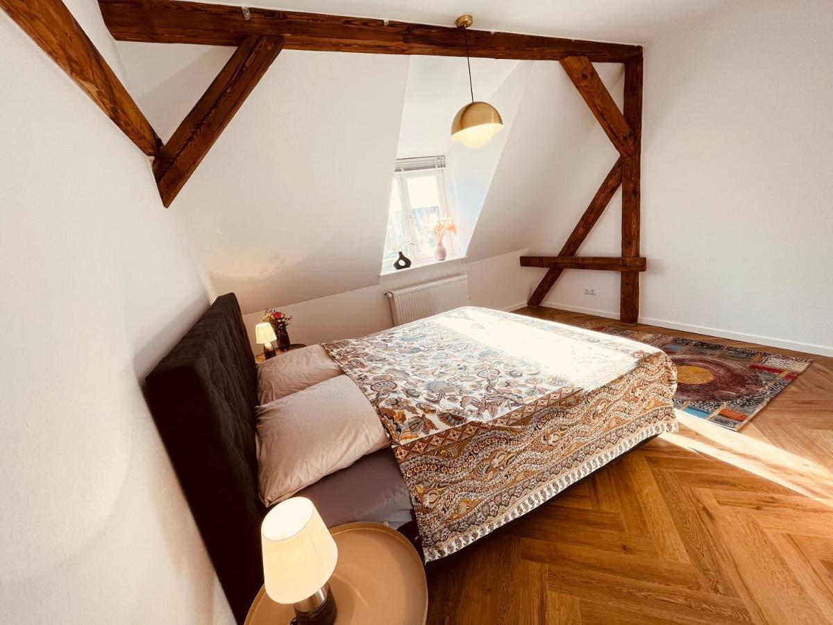 Jugendstil-altbauwohnung Mit Dachterrasse Direkt An Der Karlsaue *